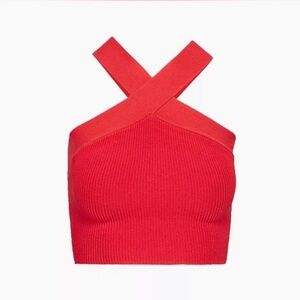 Aritzia Babaton top in red